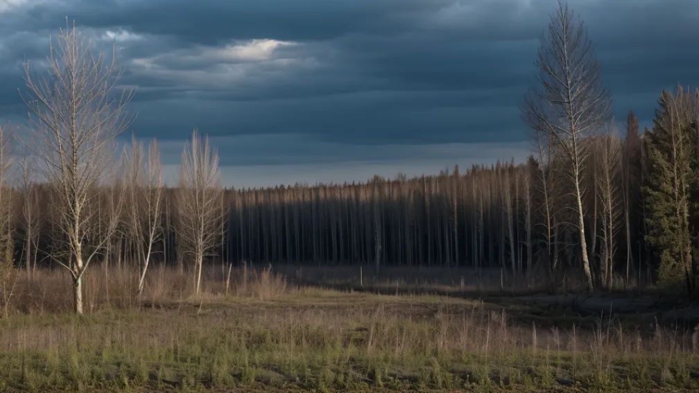 Загадки и тайны Чернобыля: 35 лет спустя