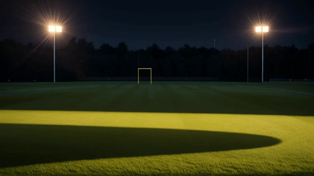 Сборная Германии на пути к ЧМ: победа над Северной Ирландией и тревога за Вирца