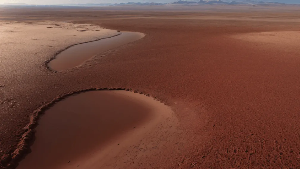 Улыбка палача: Командир суданской милиции постит видео массовых казней в TikTok