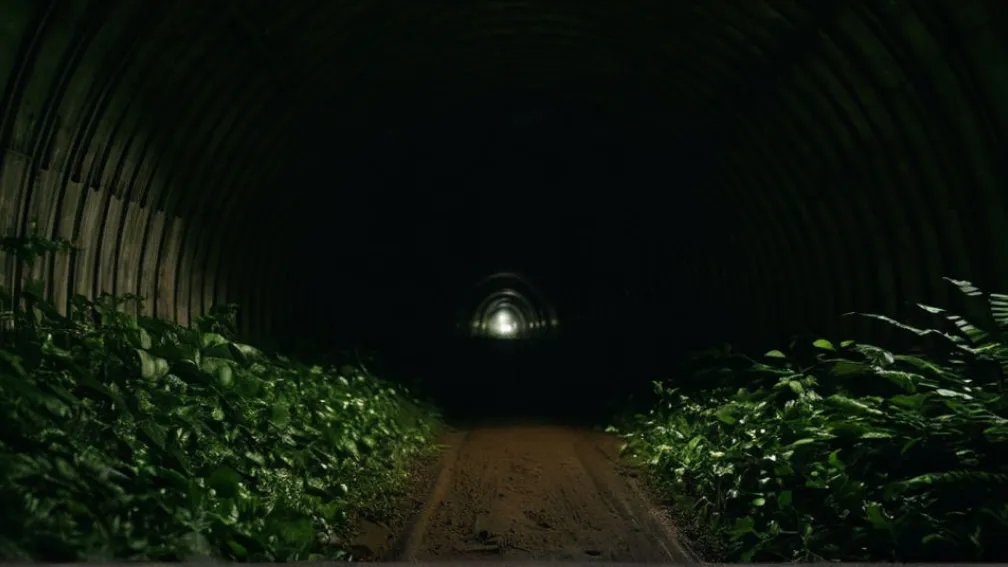 Масштабная полицейская операция у мемориала Mittelbau-Dora: Отец и сын спровоцировали поиски в запретных туннелях