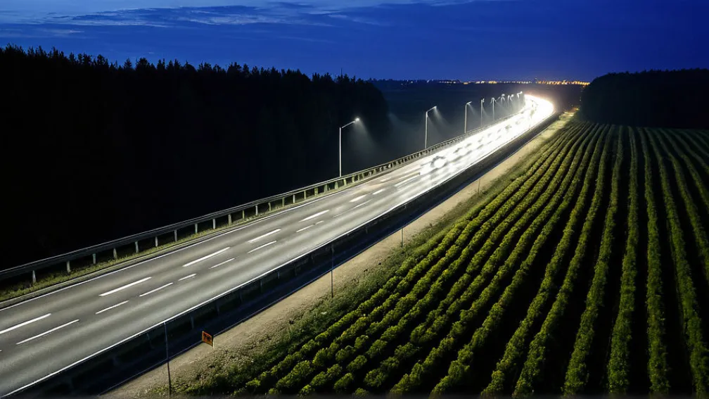 Строительство автобана A20 в Германии возобновлено после 10 лет споров о летучих мышах