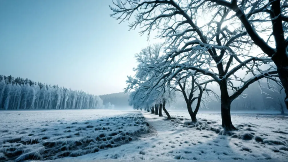 Германия столкнулась с зимним похолоданием после тёплой осени
