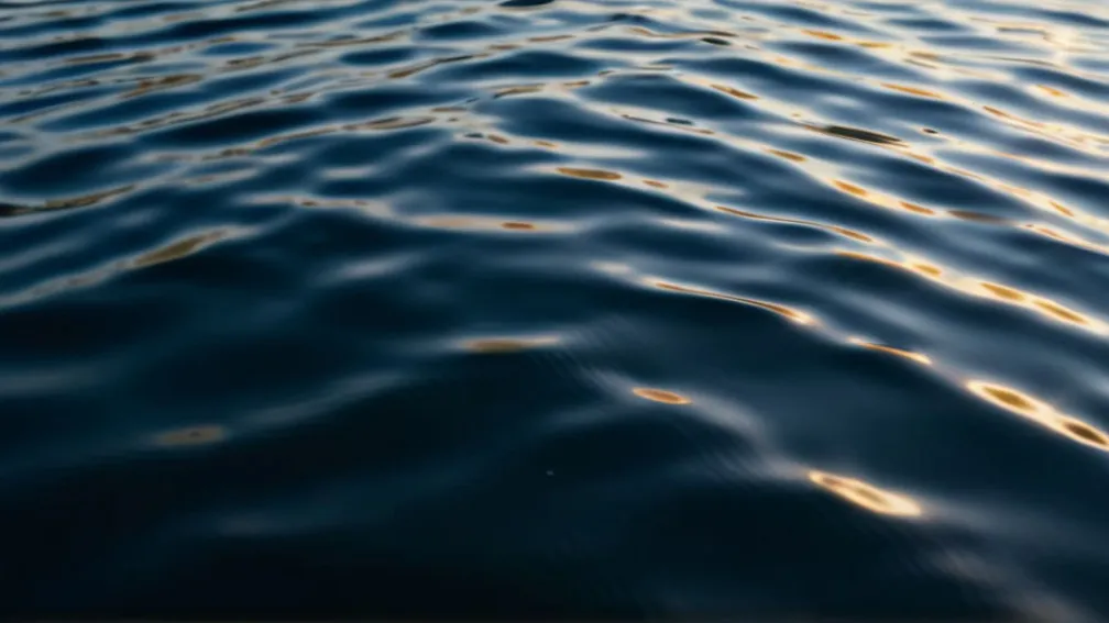 Том Круз прокомментировал развод Николь Кидман: "Карма настигла ее"