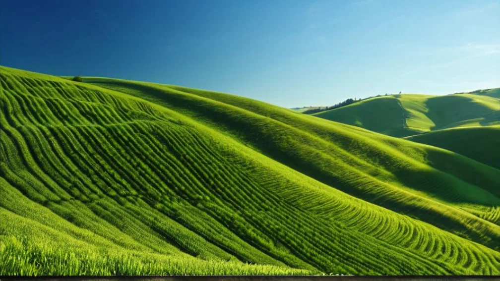 Гессен — второй по здоровью регион Германии: исследование Barmer