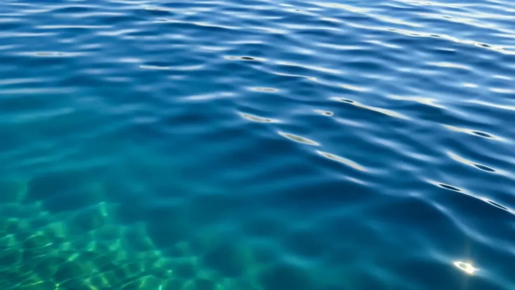 Последний в своем роде? Маленькое чудо плывет в Калифорнийском заливе