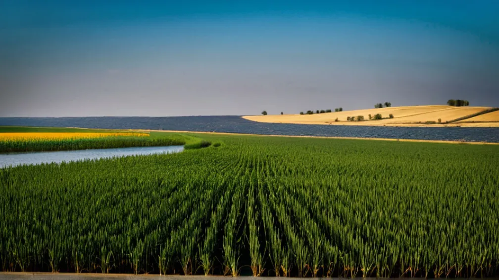 История и развитие русского языка