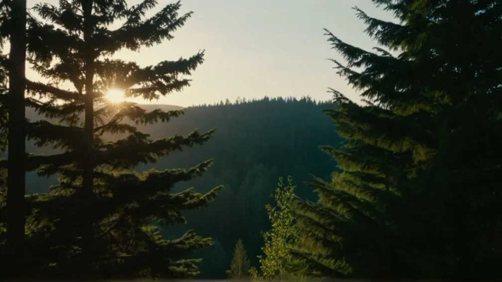 Мощный взрыв сотряс Берлин: Ликвидация 800 кг незаконной пиротехники вызвала панику