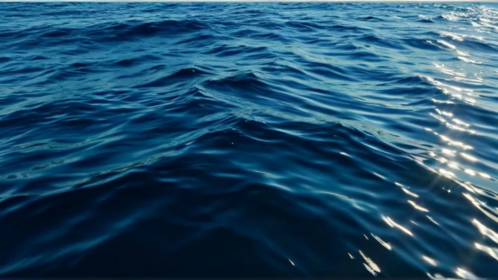 Смертельный инцидент: туристка из Швейцарии погибла от нападения акулы в Австралии