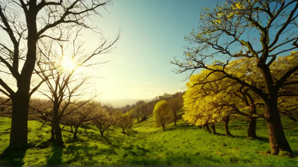 В Германии аномальная оттепель: до +18 градусов к началу декабря