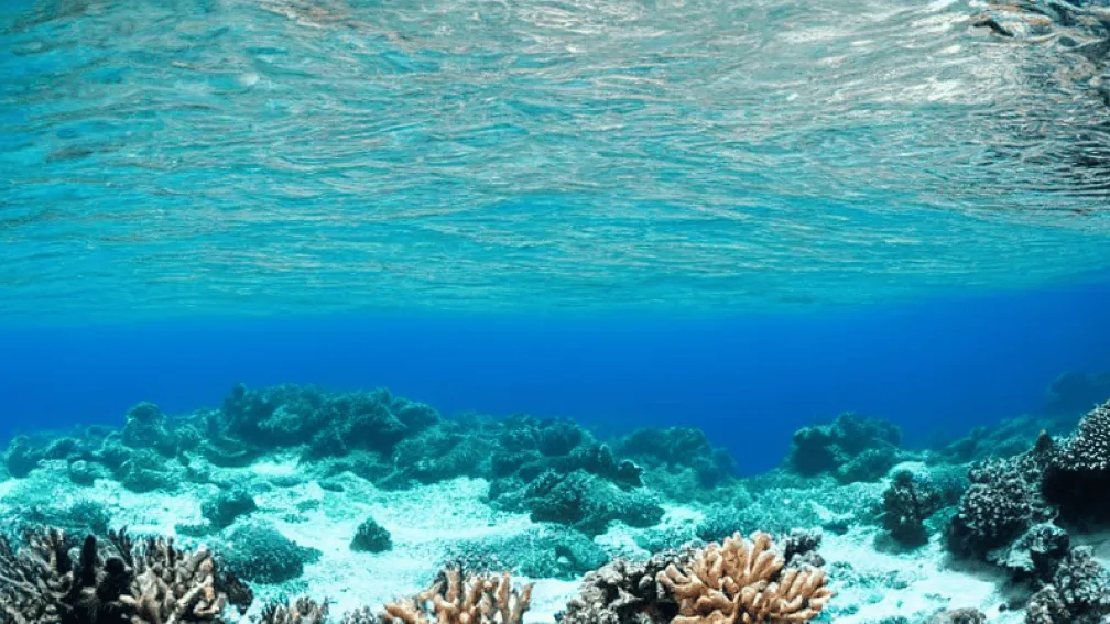 Крушение в Красном море: 6 туристов погибли
