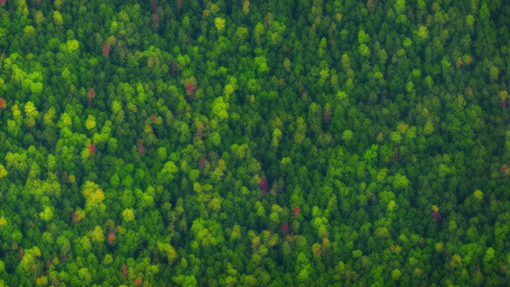 Запуск спутника Biomass: ESA отправляет стража в космос для наших лесов