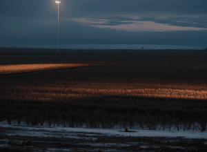 "Ибица-Бавария": Вагнер жестко раскритиковал футболистов Мюнхена за отдых во время борьбы за выживание в Бундеслиге