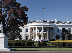 Мерц и Трамп в Белом доме: Возможно ли обсуждение немецкой партии АдГ?