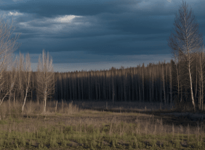 Загадки и тайны Чернобыля: 35 лет спустя