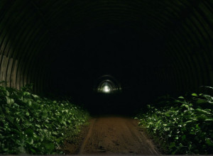 Масштабная полицейская операция у мемориала Mittelbau-Dora: Отец и сын спровоцировали поиски в запретных туннелях