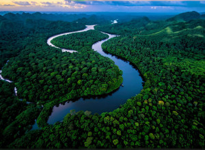 Обвинения в мошенничестве против популярного реалити-шоу "7 vs. Wild"