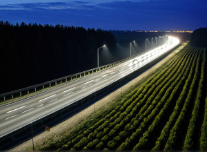 Строительство автобана A20 в Германии возобновлено после 10 лет споров о летучих мышах