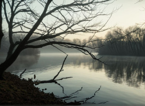 В округе Лейпциг объявлена тревога из-за птичьего гриппа: обнаружены новые случаи заболевания у диких птиц