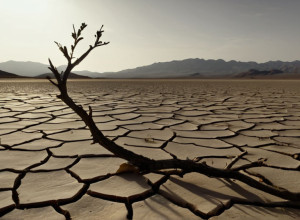 Бундестаг обсуждает геноцид в Судане на фоне усиления боев и надежд на перемирие