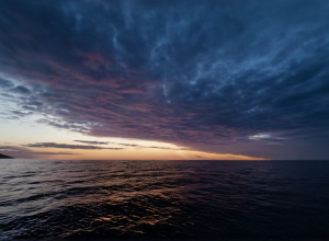 София Хаверц, жена футболиста "Арсенала", скорбит по любимому коню