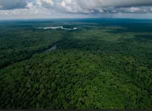 Глобальный отчет о "переломных моментах" климата представлен перед COP30
