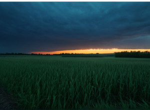 Убийство Фабиана: новые шокирующие подробности о подозреваемой