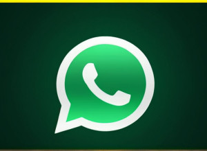 Статистика WhatsApp: Узнайте, с кем вы переписываетесь чаще всего