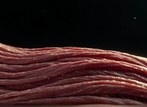 „Слишком много лактата в теле“: Заявление Ковача о звезде „Боруссии“ вызвало ажиотаж