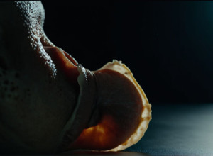 Париж Джексон откровенно рассказала о последствиях наркотиков: «Дыра в носу»