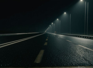 Обнаружены отчлененные женские руки на трассе А45: Зацепка ведет к беженке