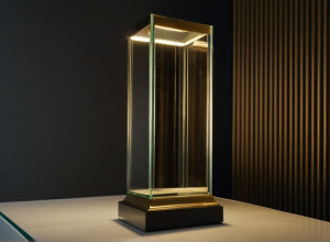 Украден чемпионский трофей гандбольного клуба "Фюксе Берлин"