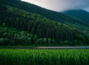 Новое исследование раскрывает потенциал искусственного интеллекта в борьбе с изменением климата