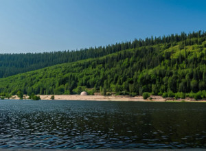 Эффективные стратегии борьбы с изменением климата