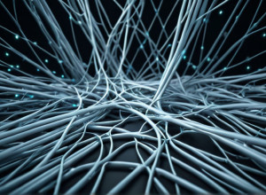 Уход за близкими: что нужно знать о государственной поддержке и льготах