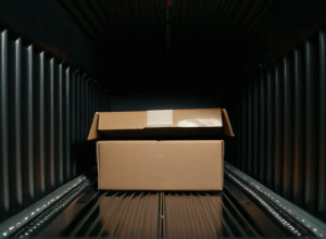 Незаконный ввоз черепах: Француз задержан с редкими рептилиями на границе Германии