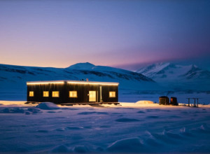 Медведь-непрошеный гость: Полярные собаки отгоняют белого гиганта от станции