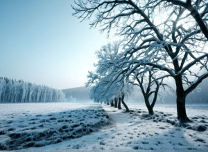 Германия столкнулась с зимним похолоданием после тёплой осени