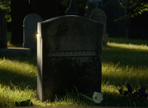 ФСБ предотвратила покушение на Сергея Шойгу: Камера в вазе с цветами как инструмент заговорщиков?