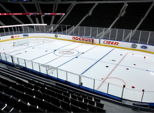 Необычный инцидент: матч DEL2 отменен из-за разбитого стекла