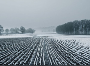 Снег в Германии: Устоит ли зимняя сказка до Черной пятницы?