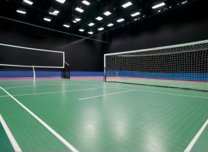 Чемпионат мира по гандболу среди женщин 2025: Германия готовится к домашнему турниру