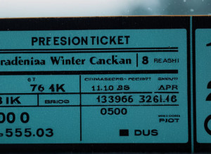 Как сэкономить на железнодорожных билетах к Рождеству: исследование выявило лучшие дни для поездок