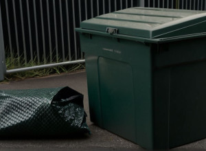 Полиция Германии расследует: Огромный питон найден мертвым в мусорном пакете у контейнера