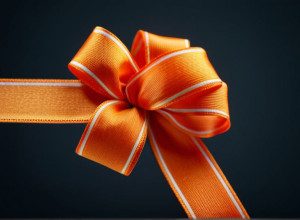 Звезды Бундеслиги "Байер Леверкузен" выступают против насилия над женщинами