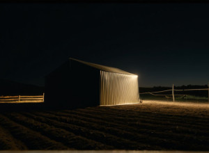 Скандал на «Звездной Ферме»: Контрабанда Сладостей и Страстные Отношения