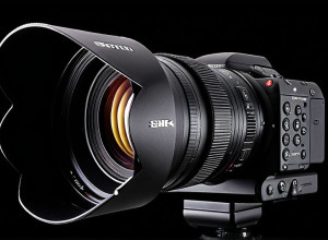 Берлин внедряет собственный ИИ-ассистент BärGPT для госслужащих