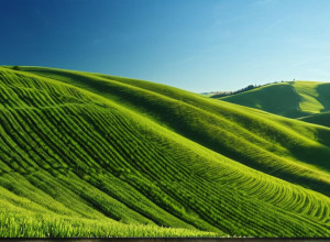 Гессен — второй по здоровью регион Германии: исследование Barmer