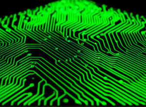 Nvidia превзошла ожидания аналитиков: акции чип-гиганта выросли на фоне бума ИИ