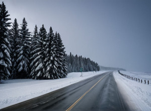 Снежная буря в Северной Америке