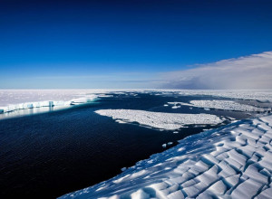 Путешествие в Арктику